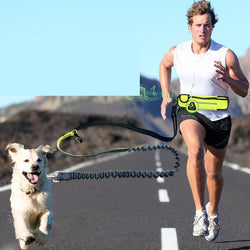 Multifunction Waterproof Pockets Sports Running Jogging Dog - Themonstersclubs